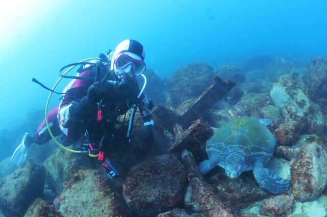 ダイビング,スキューバダイビング,宇佐美