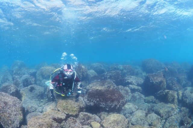 ダイビング,スキューバダイビング,宇佐美