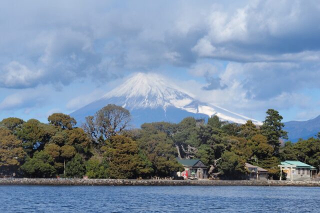 ダイビング,大瀬崎,富士山