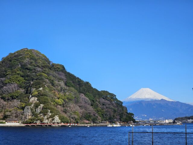 淡島、ダイビング