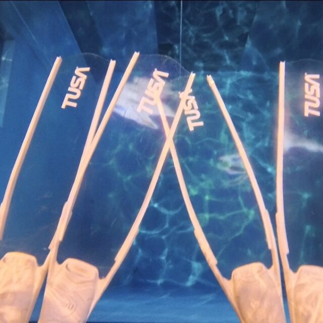 ダイビング,スキンダイビング,プール