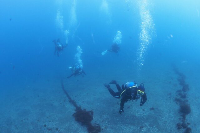 ダイビング,大瀬崎
