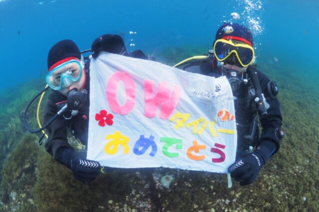 ダイビング,ライセンス講習