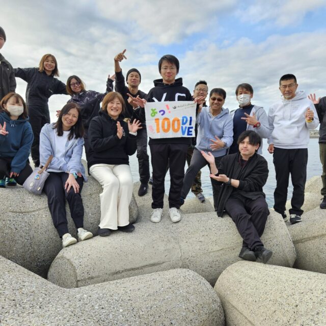 ダイビング,城ヶ島