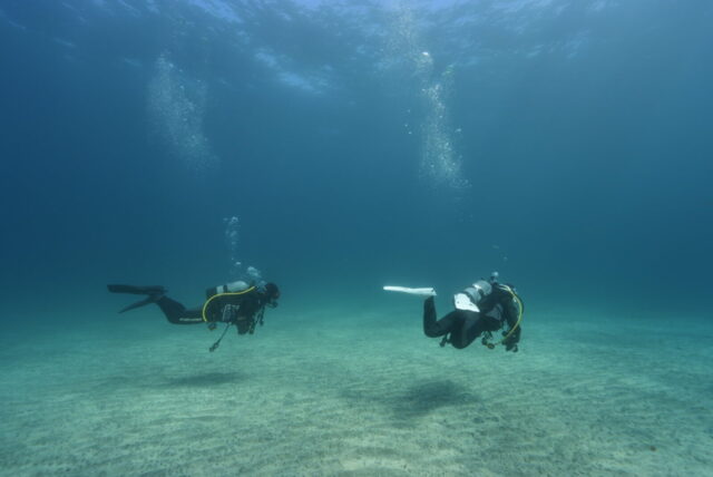 ダイビング,ファンダイビング,ライセンス,川奈,ビーチ