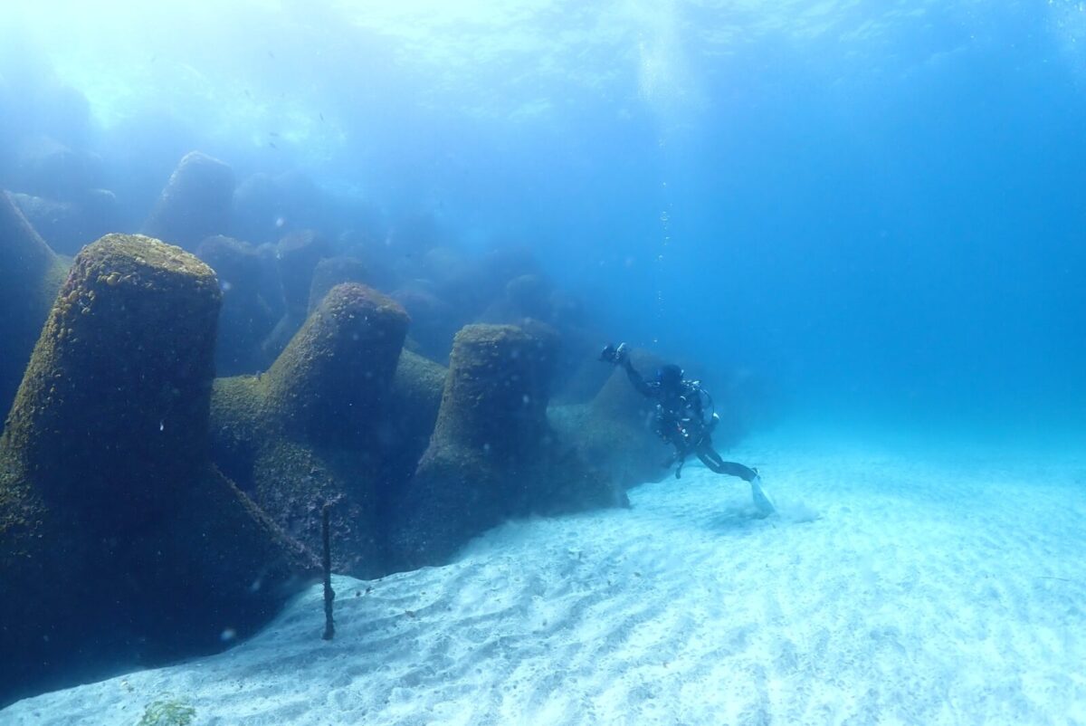 ダイビング,ファンダイビング,ライセンス,川奈,ビーチ