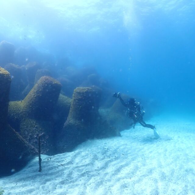 ダイビング,ファンダイビング,ライセンス,川奈,ビーチ
