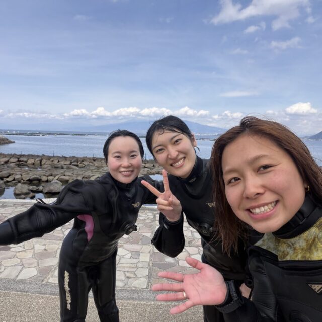 ダイビング,ファンダイビング,ライセンス,講習