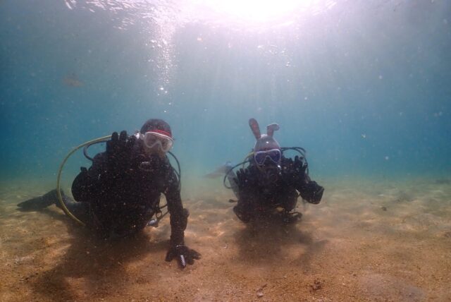 ダイビング,ファンダイビング,ライセンス,講習