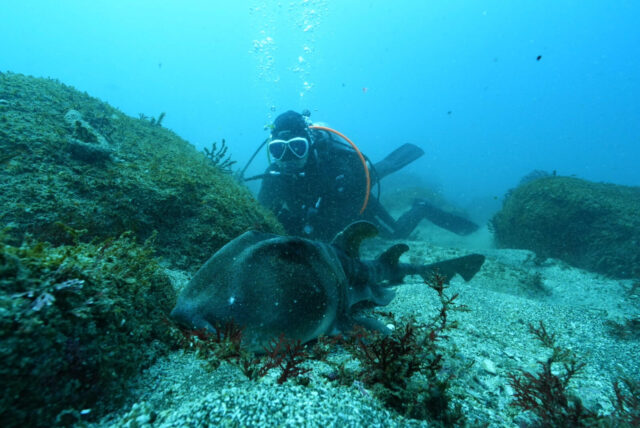 ダイビング,ファンダイビング,ライセンス,ボート