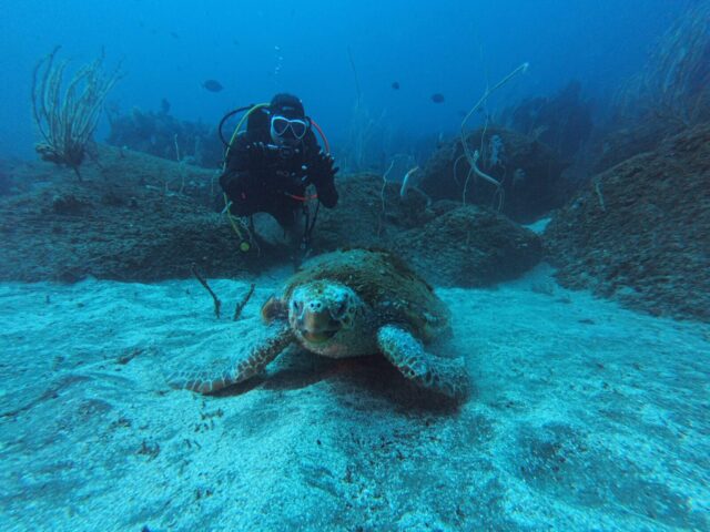ダイビング,ファンダイビング,ライセンス,ボート