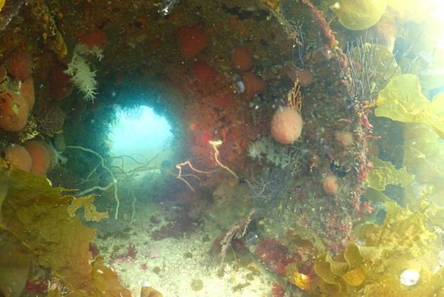 ダイビング,ファンダイビング,ライセンス,ビーチ,土管