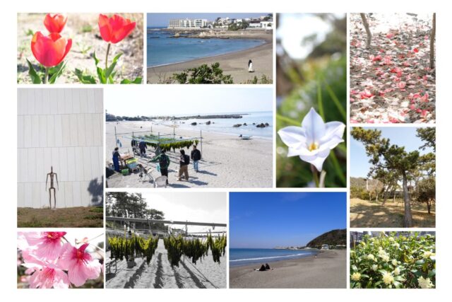 カメラ,フォト,ツアー