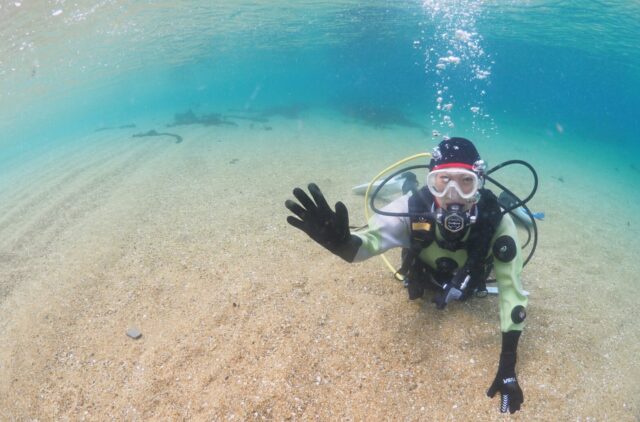 ダイビング,ライセンス講習