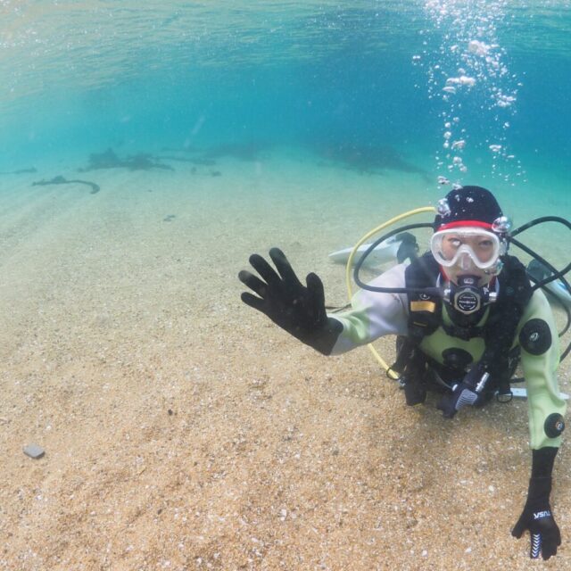 ダイビング,ライセンス講習