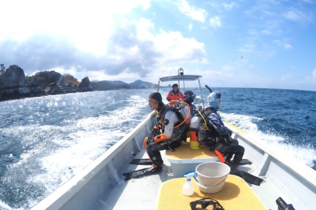 ダイビング,
堂ヶ島